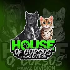 House Of Corso