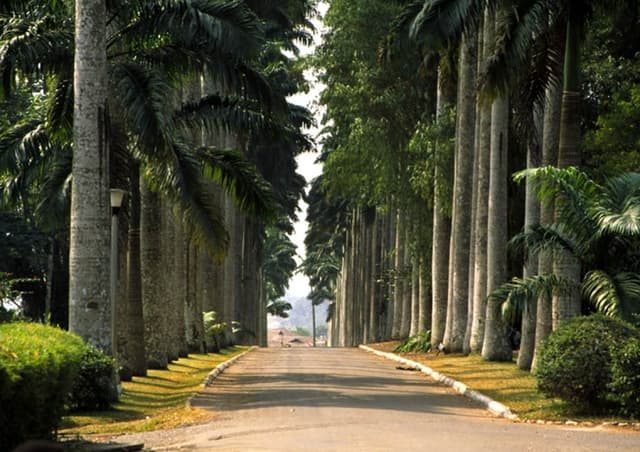 Aburi Botanical Gardens