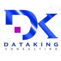  Dataking Consulting 