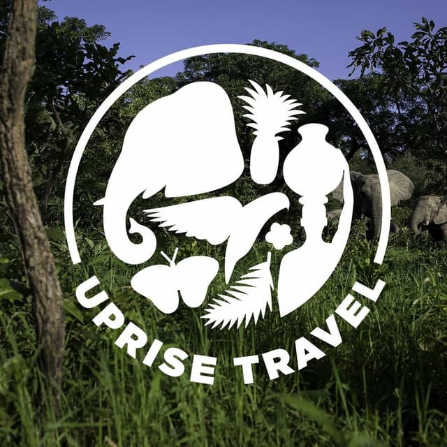 Uprise Travel