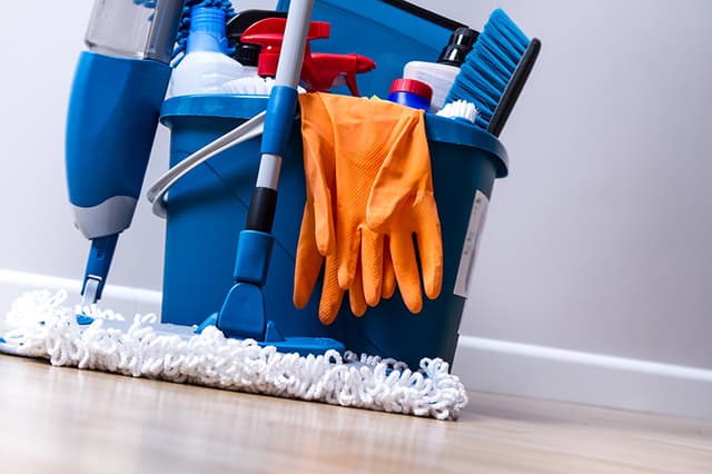 CARPET CARE AND CLEANING SERVICES