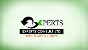  Experts Consult Limited 