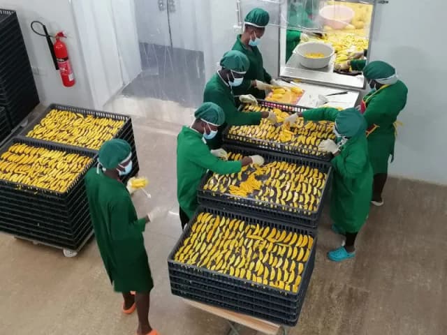 Erofrah Fruit Processing Industries