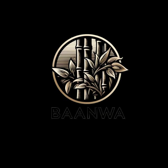 Baanwa Pitch Competition