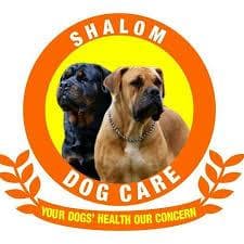 Shalom Dog Care