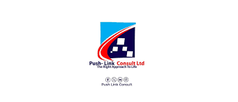 PUSH - LINK CONSULT LIMITED