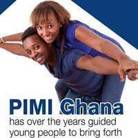 Progress Intern & Mentor Institute (PIMI)