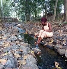 Legon Botanical Garden