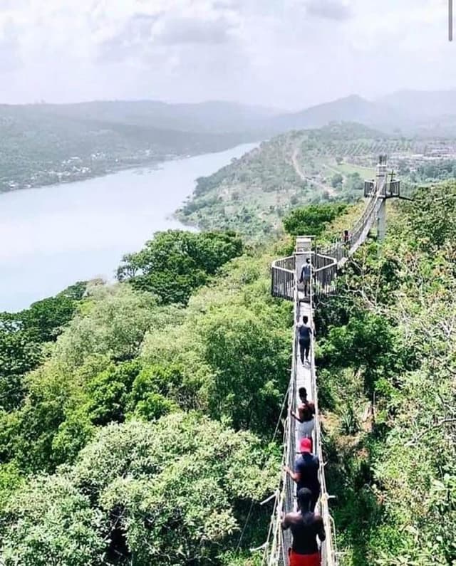 Peninsula Canopy Walk way