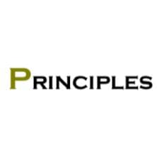 Principlus Consult