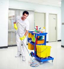 Clean Club Cleaning Services