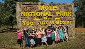 Mole National Park